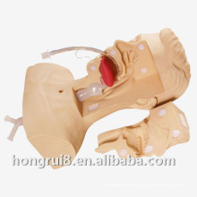 Advanced Suction Medical training model